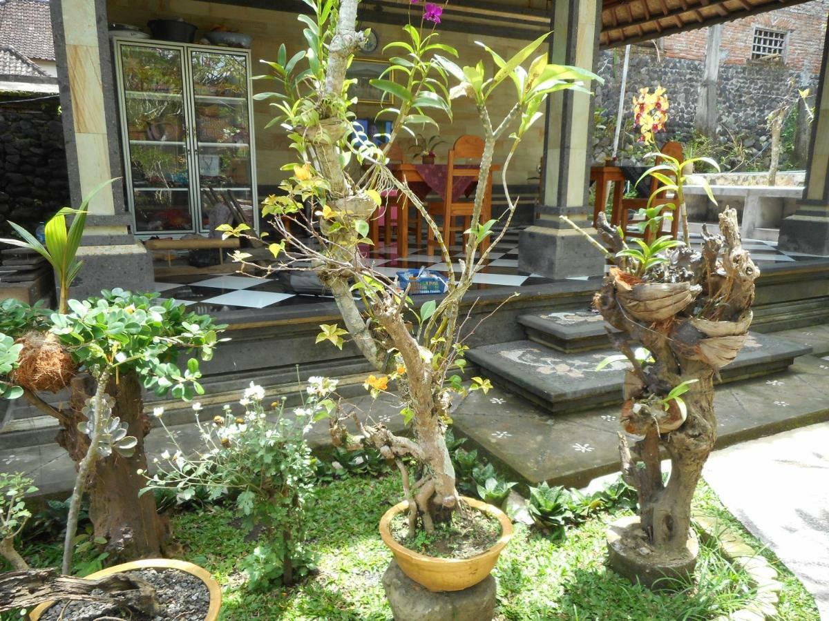 Milla Homestay 시데멘 외부 사진