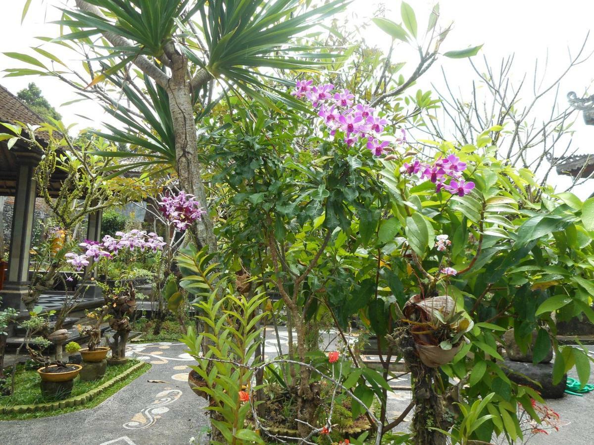 Milla Homestay 시데멘 외부 사진