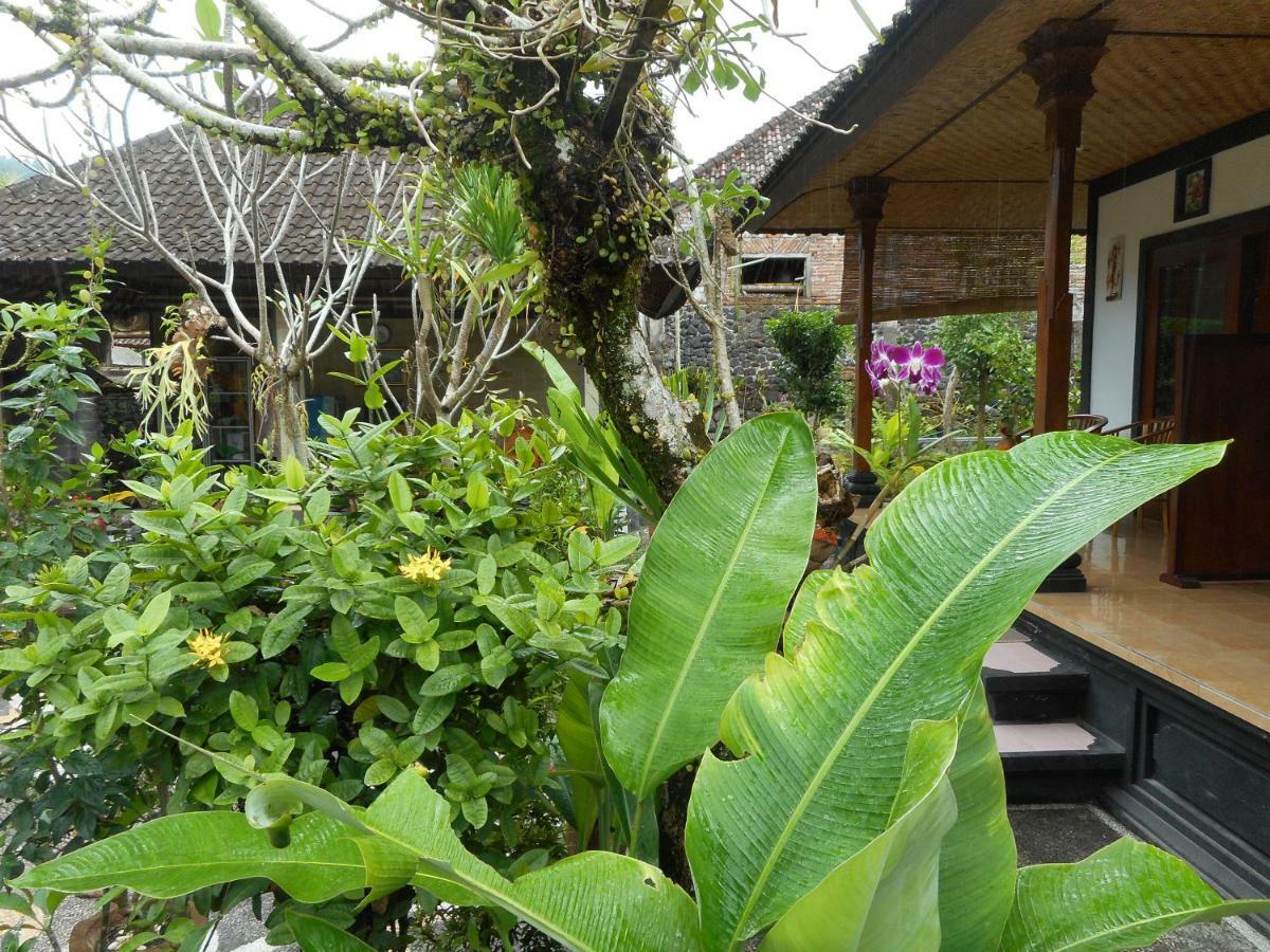 Milla Homestay 시데멘 외부 사진