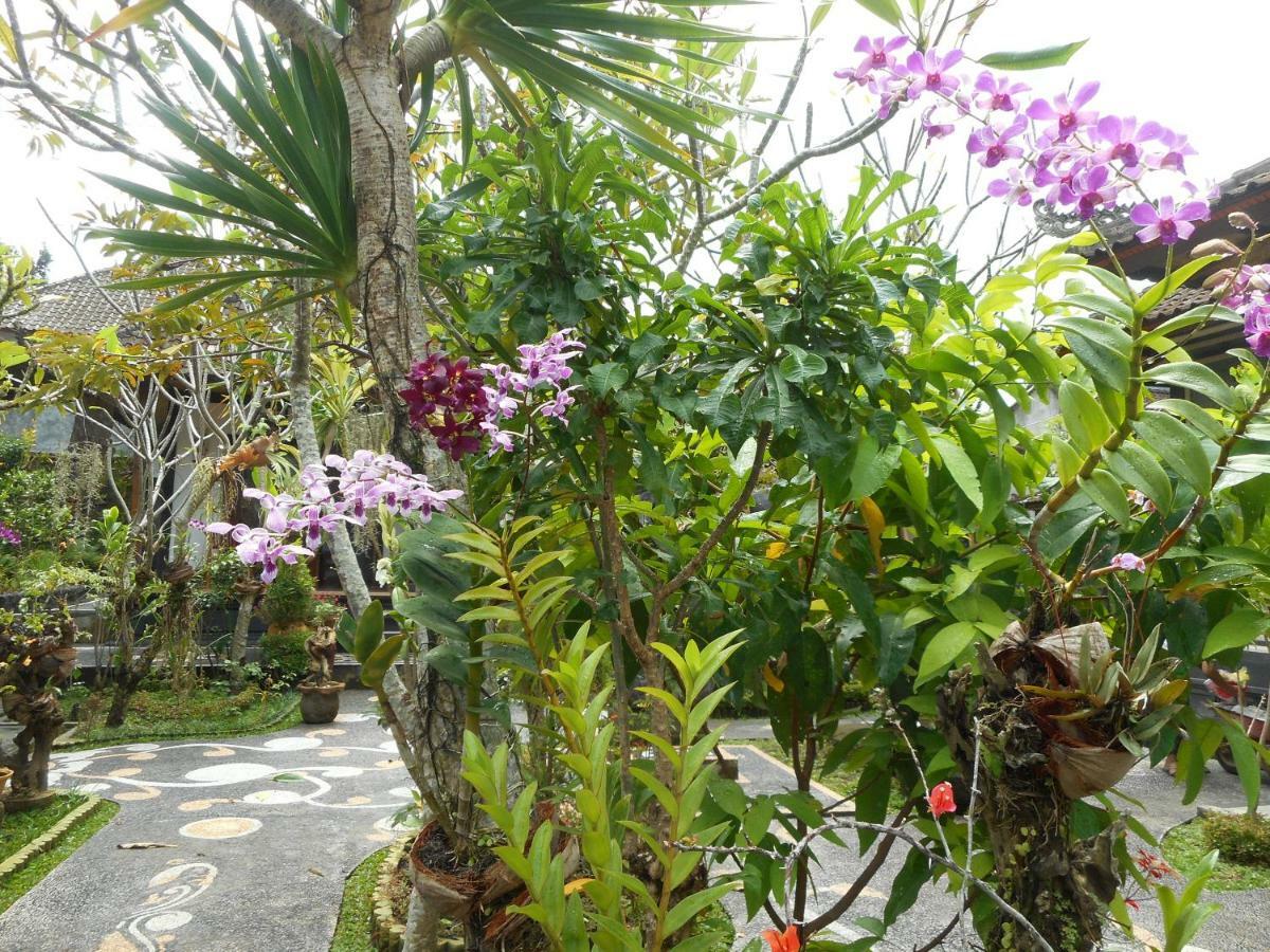 Milla Homestay 시데멘 외부 사진