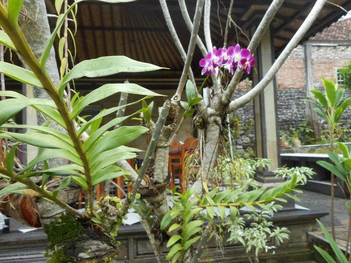 Milla Homestay 시데멘 외부 사진